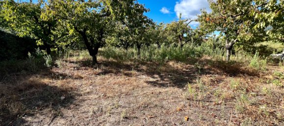 522m² Land in Caceres, Spain No. 179715 6