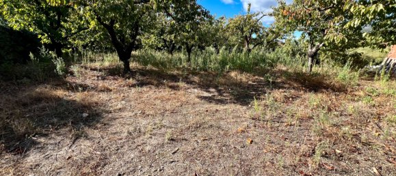 522m² Land in Caceres, Spain No. 179715 3