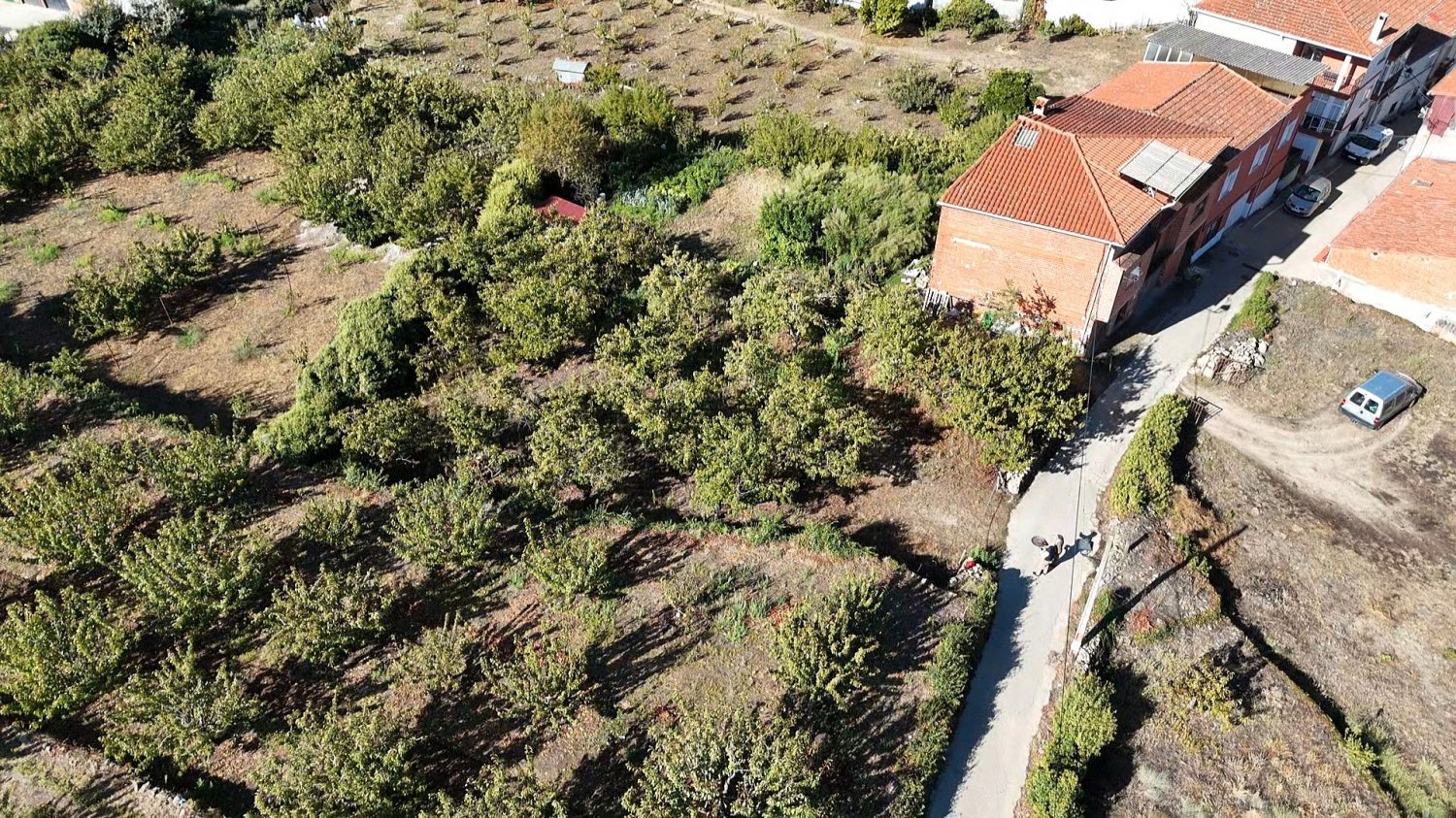 522m² Land in Caceres, Spain No. 179715