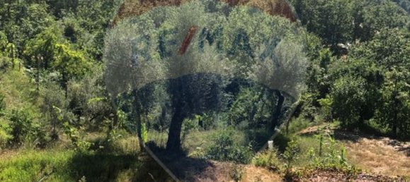  قطعة أرض في Louredo, Portugal 2075متر مربع رقم 36378 5