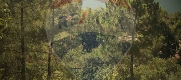  قطعة أرض في Louredo, Portugal 2075متر مربع رقم 36378 8