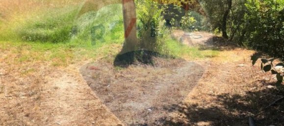  قطعة أرض في Louredo, Portugal 2075متر مربع رقم 36378 3