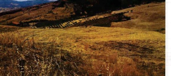 Земельный участок 30100м² в Троина, Италия № 266753 11