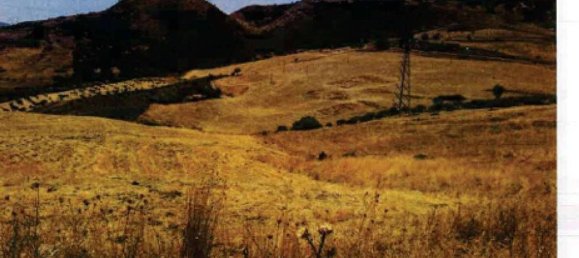 Земельный участок 30100м² в Троина, Италия № 266753 7