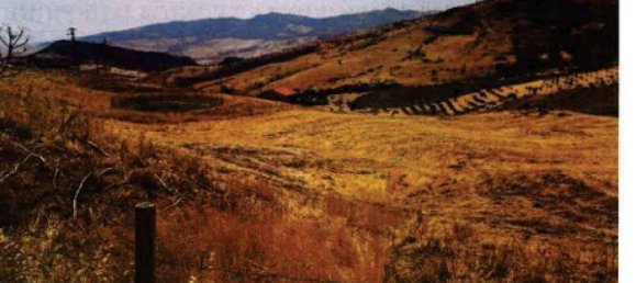 Земельный участок 30100м² в Троина, Италия № 266753 5