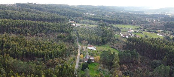 3 غرف نوم منزل في Ferreira do Zezere, Portugal رقم 22402 27