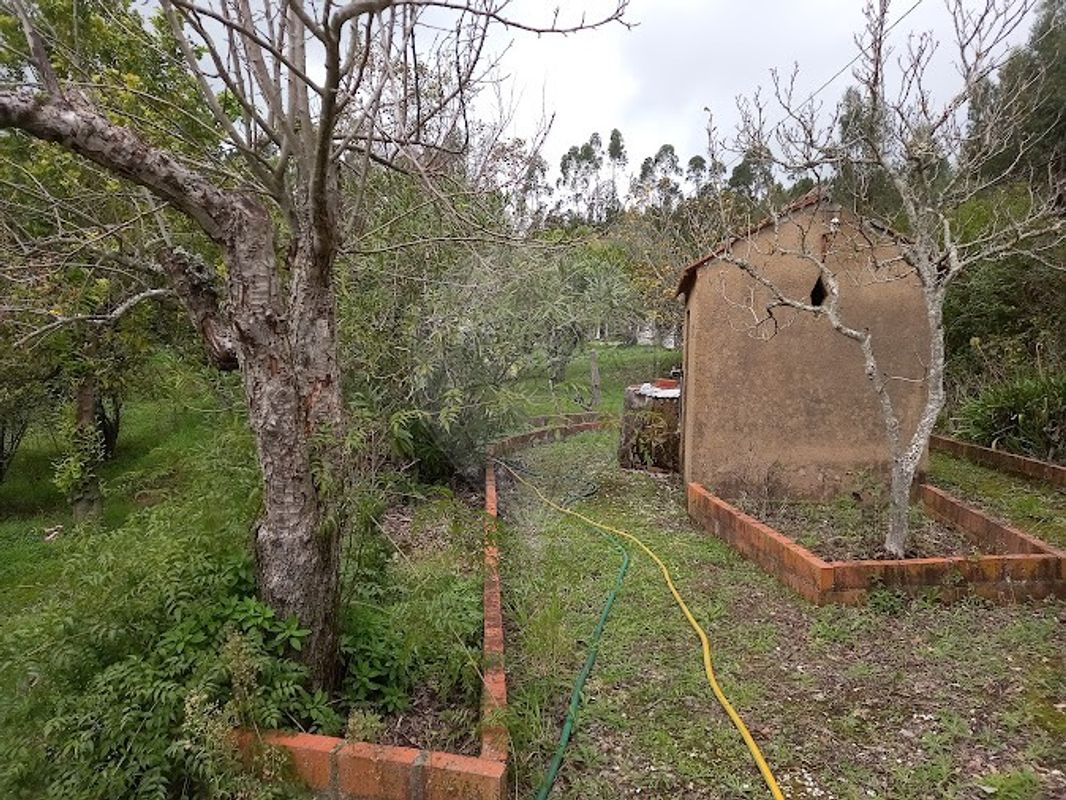 3 غرف نوم منزل في Ferreira do Zezere, Portugal رقم 22402