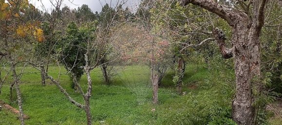 3 غرف نوم منزل في Ferreira do Zezere, Portugal رقم 22402 20