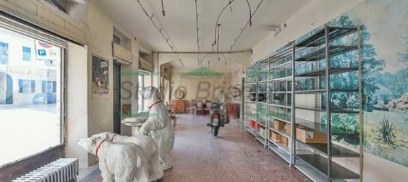 4 rooms Commercial property in Giussano, Italy No. 80102 4