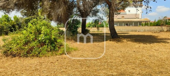  قطعة أرض في Rome, Italy 1140متر مربع رقم 290654 7