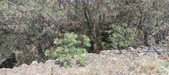 2800m² Land in Misterbianco, Italy No. 51215 31