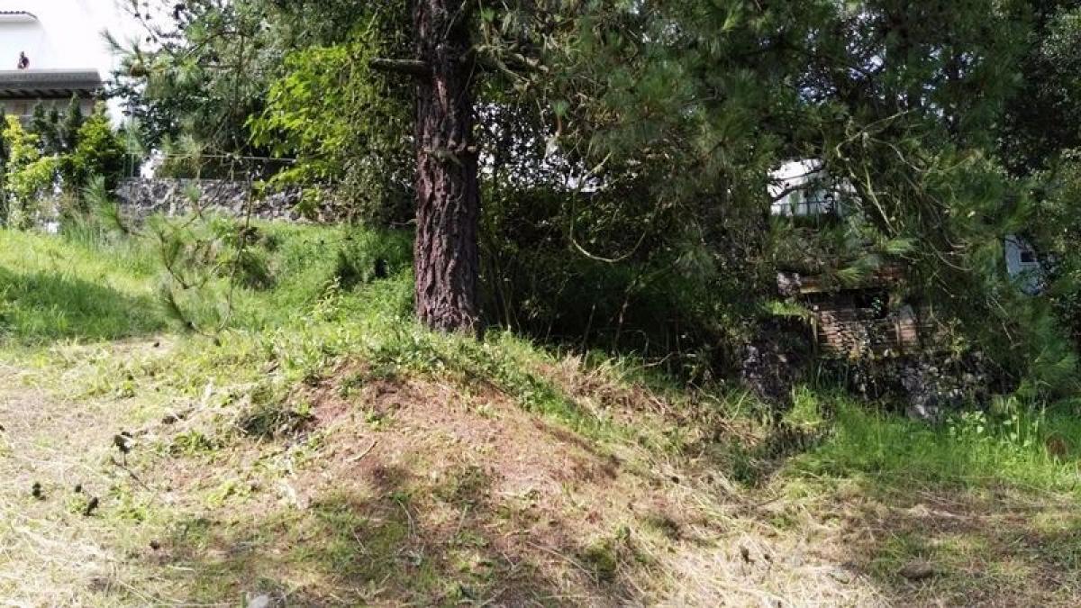  Land in Lerma, Mexico No. 205596