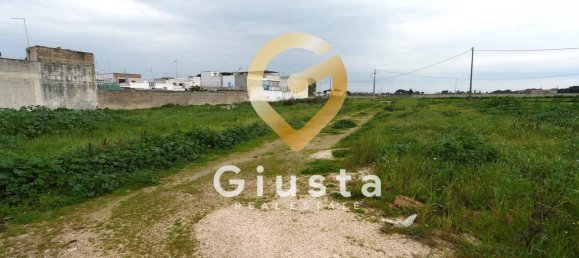 1 room Land in Mesagne, Italy No. 40136 6