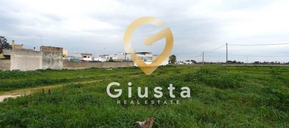 1 room Land in Mesagne, Italy No. 40136 2