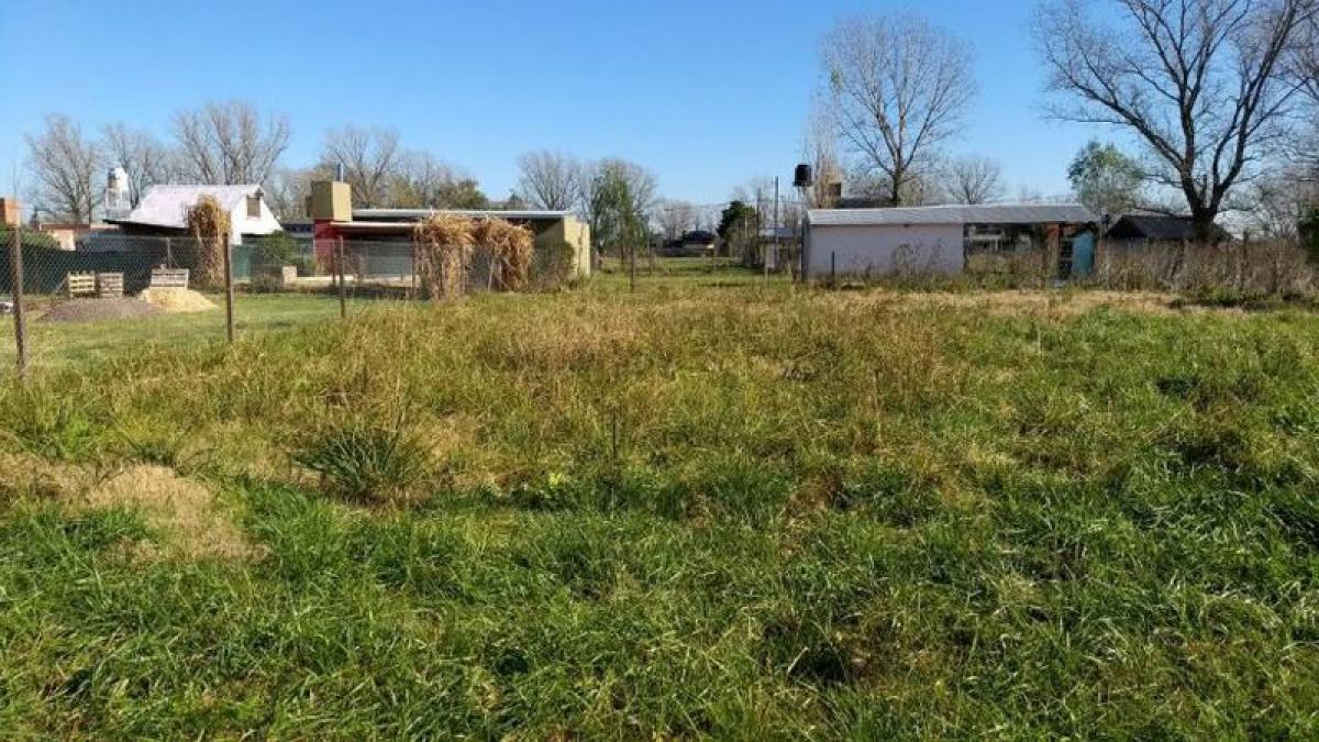 Земельный участок в провинция Санта-Фе, Аргентина № 34743