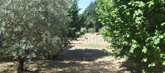 2 bedrooms House in Montescudaio, Italy No. 269086 28