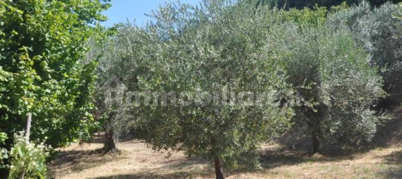 2 bedrooms House in Montescudaio, Italy No. 269086 26