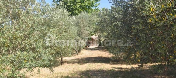 2 bedrooms House in Montescudaio, Italy No. 269086 27