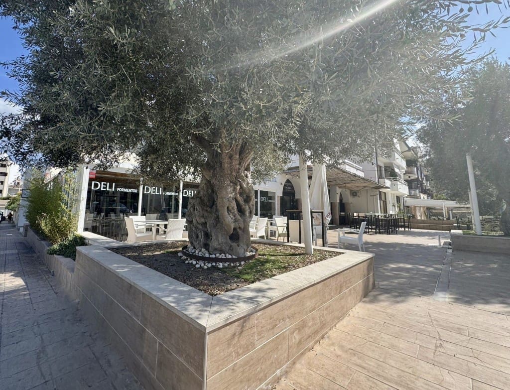 1905m² Commercial property in Mallorca, Spain No. 205850