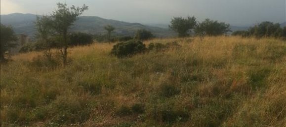 10000m² Hotel in Chortiatis, Greece No. 7594 4