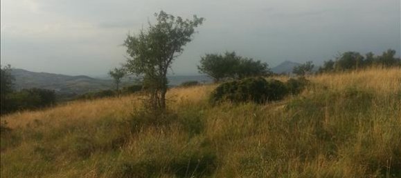 10000m² Hotel in Chortiatis, Greece No. 7594 5