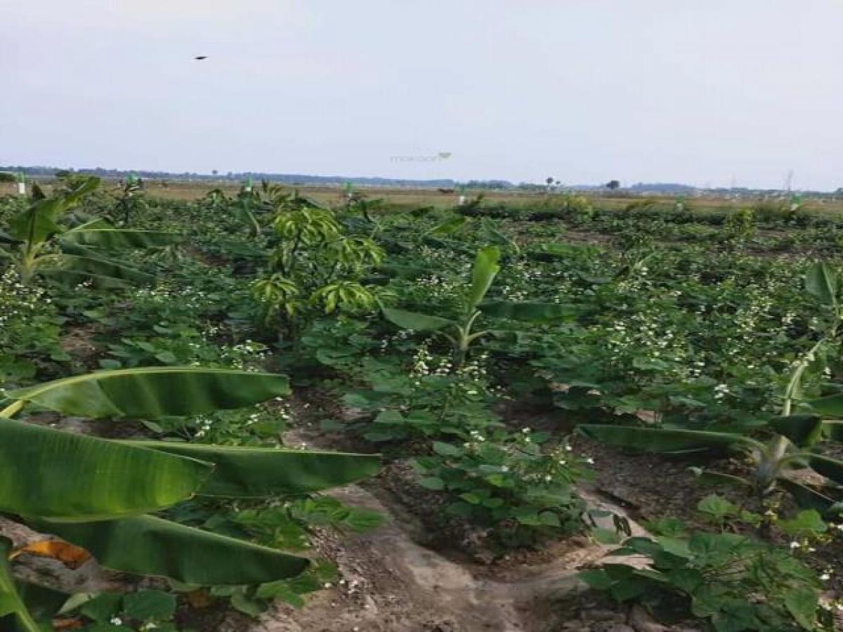  Land in Chennai, India No. 31024