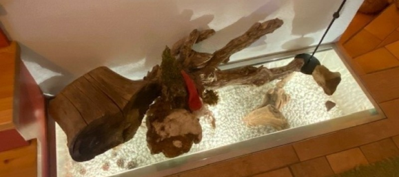 9 rooms House in Pfaffenhofen, Austria No. 198130 33