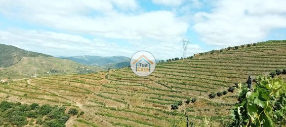 Terreno em Ervedosa do Douro, Portugal 119304 m² N.º 79786 2