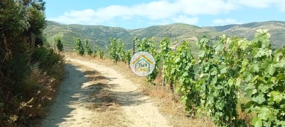 Terreno em Ervedosa do Douro, Portugal 119304 m² N.º 79786 7