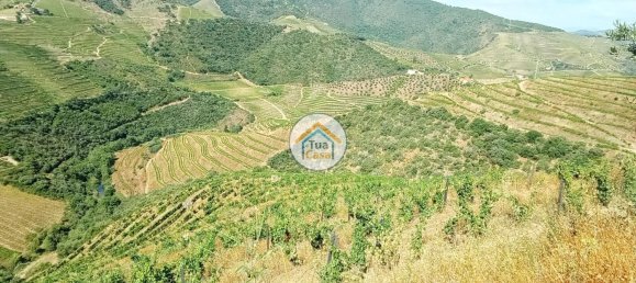 Terreno em Ervedosa do Douro, Portugal 119304 m² N.º 79786 17