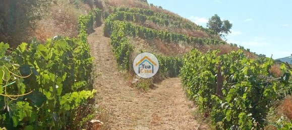 Terreno em Ervedosa do Douro, Portugal 119304 m² N.º 79786 13