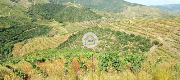 Terreno em Ervedosa do Douro, Portugal 119304 m² N.º 79786 3