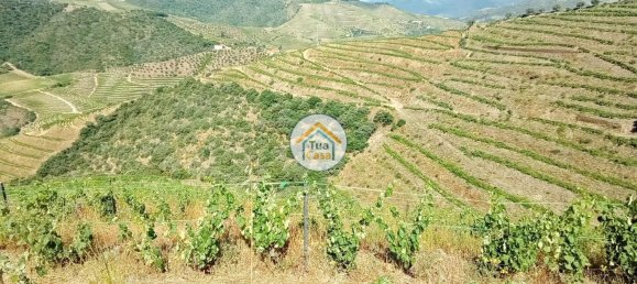 Terreno em Ervedosa do Douro, Portugal 119304 m² N.º 79786 9