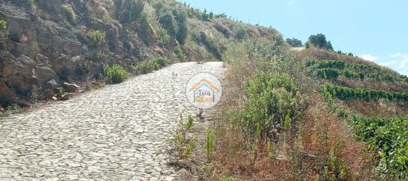 Terreno em Ervedosa do Douro, Portugal 119304 m² N.º 79786 12