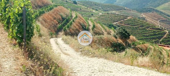 Terreno em Ervedosa do Douro, Portugal 119304 m² N.º 79786 10