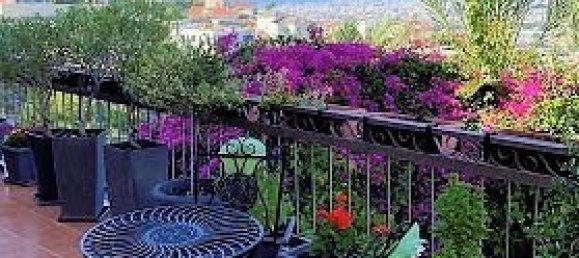 6 bedrooms Villa in Limassol, Cyprus No. 21829 10