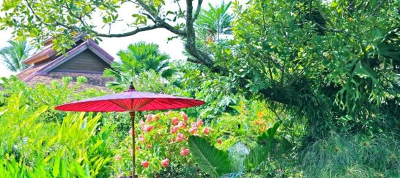 11 bedrooms Commercial property in Chiang Mai, Thailand No. 21884 23