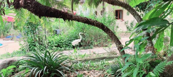 11 bedrooms Commercial property in Chiang Mai, Thailand No. 21884 21