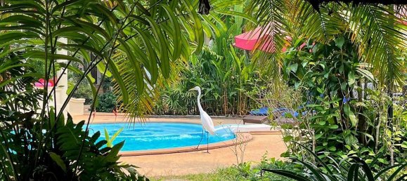 11 bedrooms Commercial property in Chiang Mai, Thailand No. 21884 22