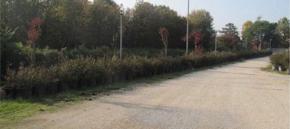 13 rooms House in Venice, Italy No. 208039 60