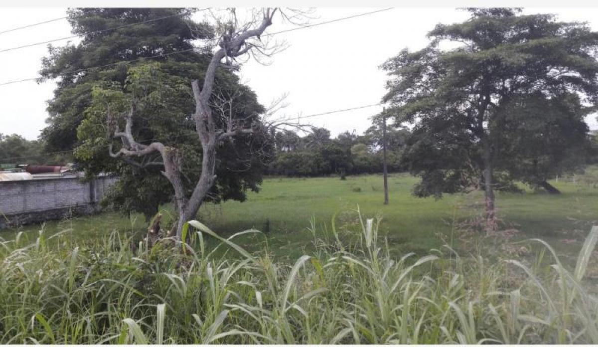 Grundstück in Veracruz, Mexico, Nr. 203370