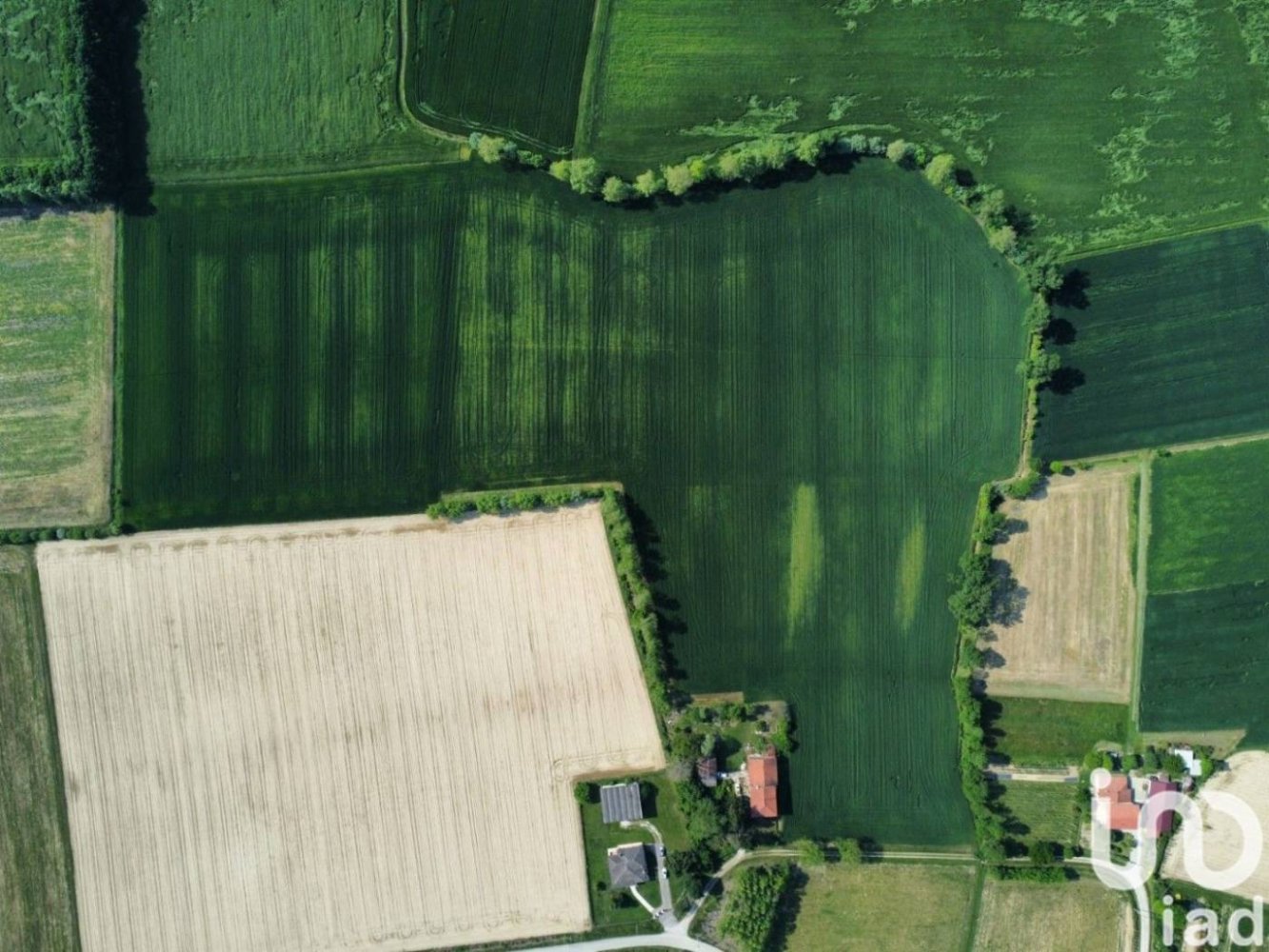 68122m² Land in Grisignano di Zocco, Italy No. 287283