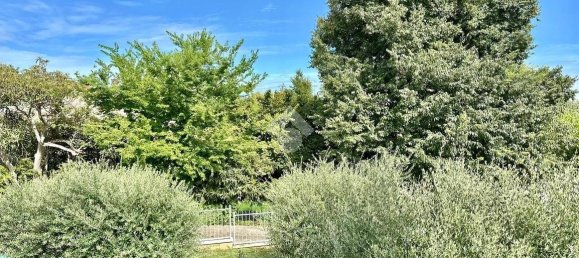 Вилла с 3 спальнями в Сона, Италия № 289545 14