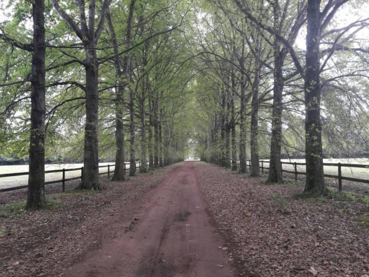 Terreno em Pilar, Argentina N.º 49157