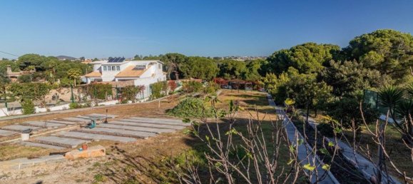 3 غرف نوم منزل في Almancil, Portugal رقم 102404 39