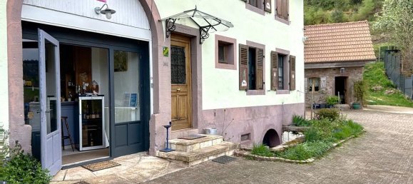 5 غرف نوم منزل في Breitenau, France رقم 328564 2