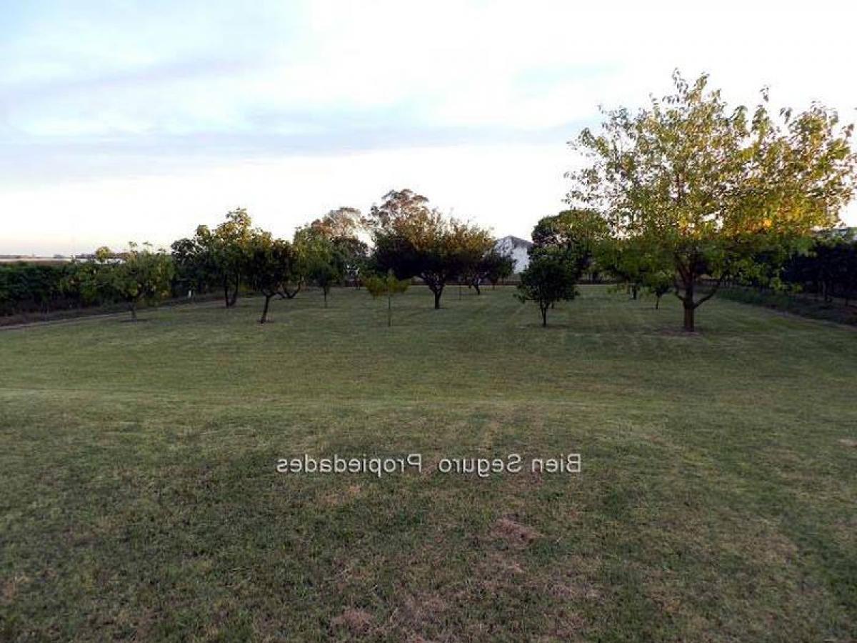 3 bedrooms Land in Canelones, Uruguay No. 14386