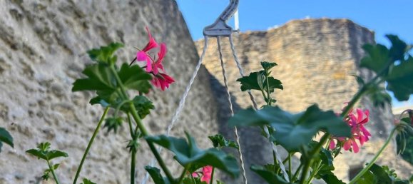 Дом с 8 комнатами в Майен-Кобленц, Германия № 179566 8