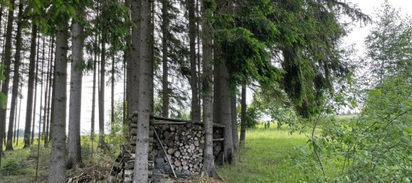 Grundstück in Sallingberg, Austria 4913m², Nr. 244200 10