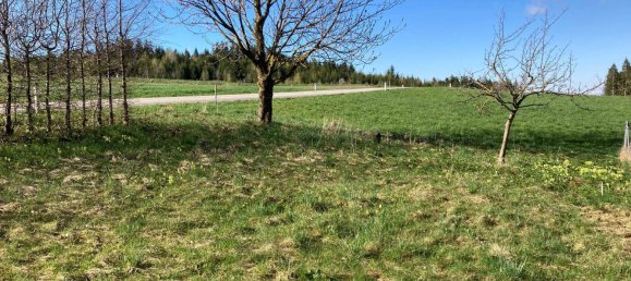 Grundstück in Sallingberg, Austria 4913m², Nr. 244200 7